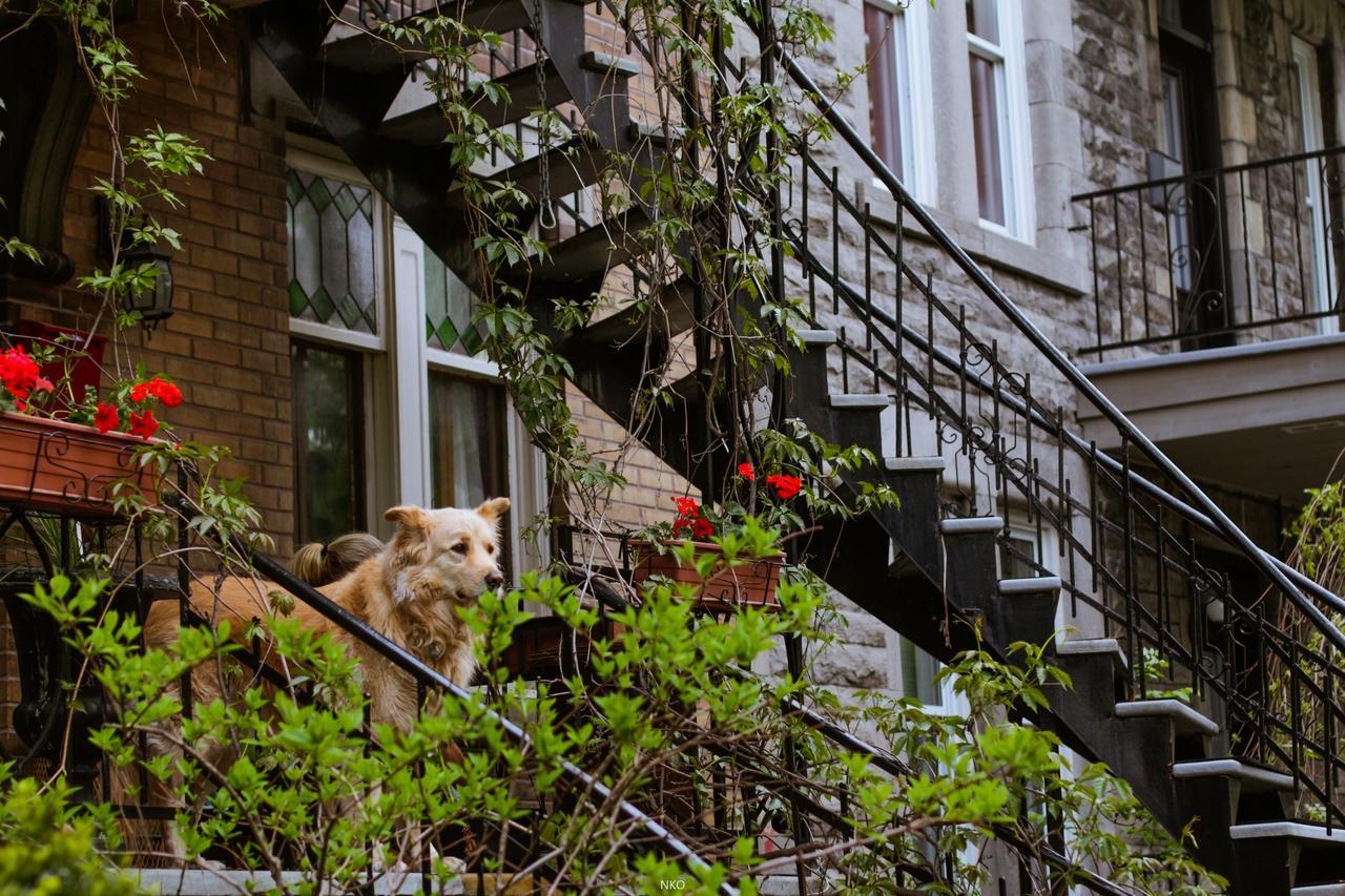 Pied-A-Terre Mont-Royal Hostel Montreal Exterior photo